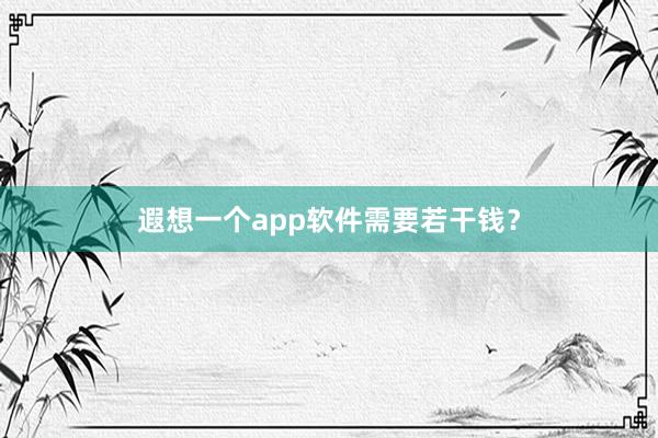 遐想一个app软件需要若干钱？